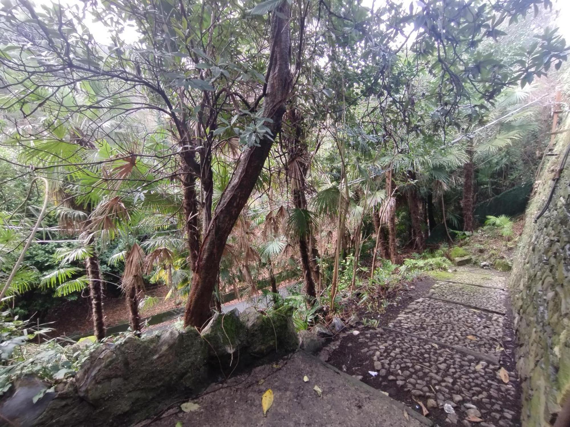 The Garden House Apartment Como Luaran gambar